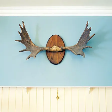 Gilleleje Badehotel Hotel