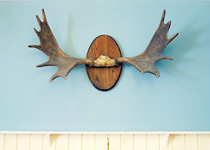 Gilleleje Badehotel Otel